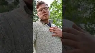Немного о кедре🙂.