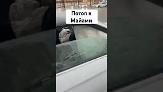 Взорвались подушки,потоп в Майами#потоп #майами #катаклизмы #флорида #ураган #сша #америка #автосша