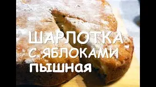 ШАРЛОТКА С ЯБЛОКАМИ в духовке. Супер ПЫШНАЯ! Самый БЫСТРЫЙ рецепт!