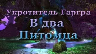 Как победить укротителя Гаргра в два питомца