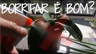 SPRAYING WATER ON PLANTS can be a pain.