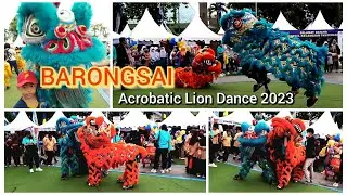 Barongsai ||Acrobatic Lion Dance 2023