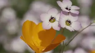 Veterzz - Last Tear [REject 044 prod.] (MUSIC VIDEO)