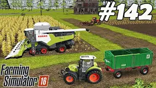 FS 16. Timelapse # 142. Corn harvest on a small farm.