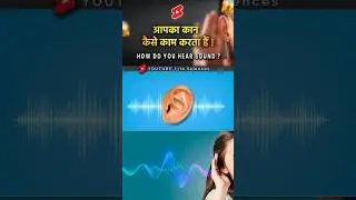 आपका🦻कान कैसे🤔काम करता हैं?