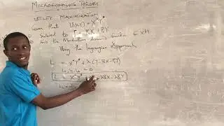 Microeconomic theory: Utility Maximisation (Marshallian Demand Function), lagrangian approach