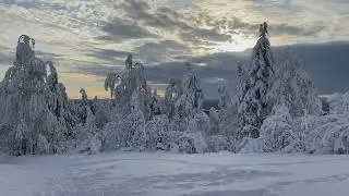 Поездка в Пермский край