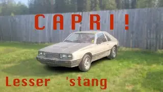 Did You Know This Car Existed? *The LESS Popular MUSTANG*