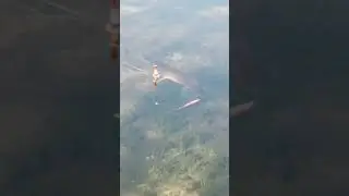 НА ЧТО ЛОВИТЬ ЩУКУ?