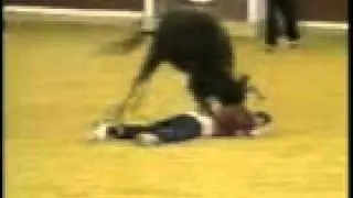 Stripped by bull
