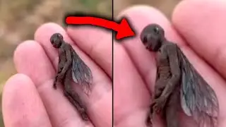 You Won't Believe What This Trail Cam Captured Recently