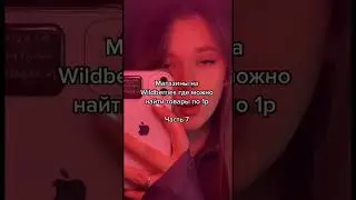Магазины на Wildberries с вещами по 1р 