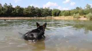 Гуляем с Габи на пруду.