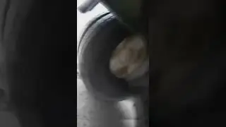 КАРДАН СПИ@ДИЛИ🤣