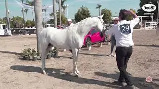 VesuvioTrophy 2021 - Class JCC
