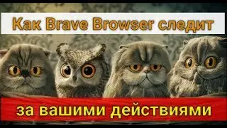Как Brave Browser следит за вашими действиями