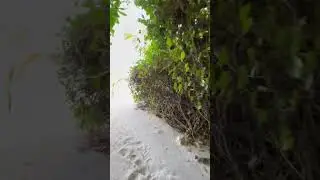 Когда картинки стали реальностью😍