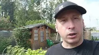 Лето не уходи 😢!Время собирать урожай.Всех с мёдовым Спасом.