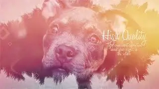 INK SLIDESHOW - Premiere Pro Template