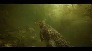 UE5: Swamp Underwater