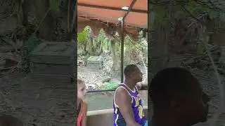 Jungle Cruise (part 2) #junglecruise #disneyworld #shorts
