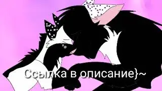 Пиарчег}~Ссылка в описание