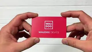 GPS трекер для тварин WAUDOG Device інструкція та перший запуск