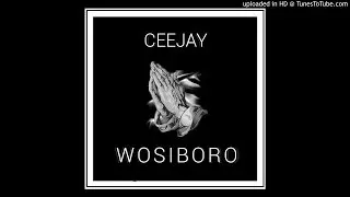 CEEJAY - RIP WOSI (PROD.GNXME x DARKSTRAW)