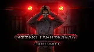 ЭФФЕКТ ГАНЦФЕЛЬДА | проверяем воздействие ГАЛЛЮЦИНАЦИЙ | ЭКСПЕРИМЕНТ