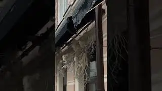 Москва
