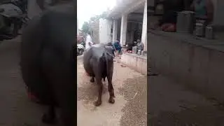 #My