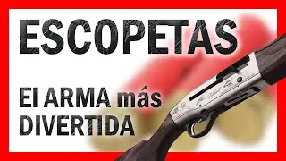 ¿Son las ESCOPETAS las MEJORES ARMAS? 🤔