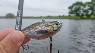 ЭТА ПРИМАНКА ЛОВИТ ТОГДА, когда ДРУГИЕ НЕ МОГУТ. Рыбалка на спиннинг в 2023