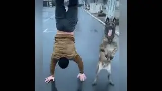 С хозяином на одной волне