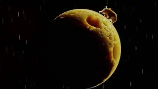 CGI 