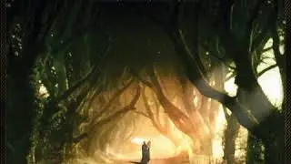 Religar