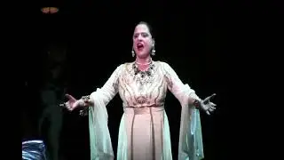 Patti LuPone Forever Beautiful War Paint Chicago