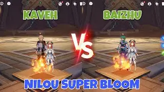 Kaveh Superbloom vs Baizhu Superbloom Team Comparisons & Showcases! Who’s Better in Nilou’s Team???