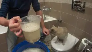 Односолодовый виски на кодзи ч1. Ставим брагу.