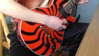 The Eagles Hotel California (solo cover)
