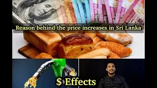 Reason behind the price increases in Sri Lanka | $ Effects | Althaff Ilahy | Tamil