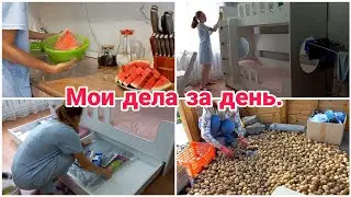 Мои дела за день// Уборка в детской комнате// Урожай картофеля//