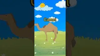 Farm Animals || Farm Animals Picture with Sound  #animalsname #farmanimals