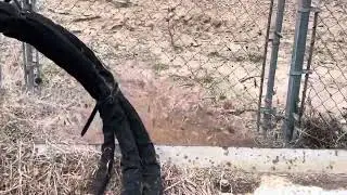 Vegetation management and inspection on a manufacturing site