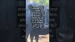 #subscribe #funny #funnymemesanjokes #newvideo #automobile #funnymemes #youtube