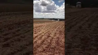colheita do soja, será que deu alguma coisa???