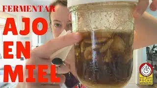 Cómo fermentar AJO en MIEL cruda