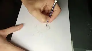 Как нарисовать птицу на ветке