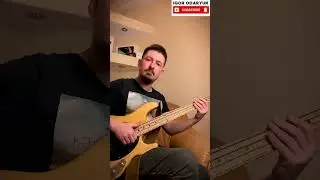 Slap Vocabulary #2 | Learn New SlapLines Everyday using MusicMan Stingray 1987