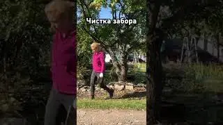 Чистка забора